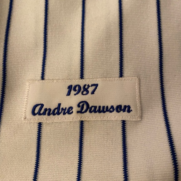 Authentic Mitchell & Ness Andre Dawson Jersey - Picture 5 of 7